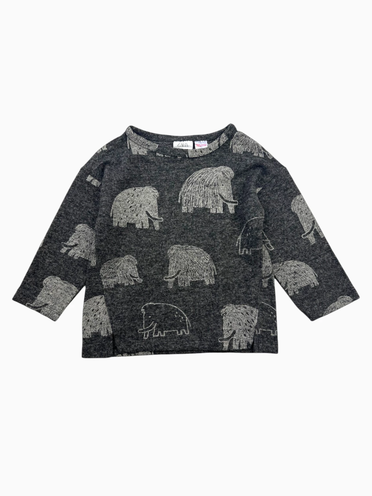 Zara - Longsleeve (maat 80)