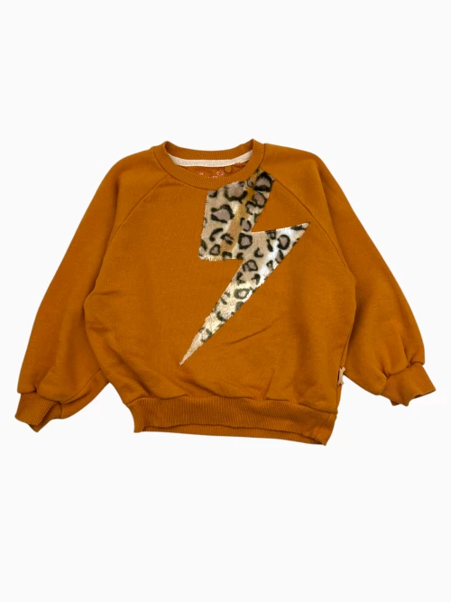 Trui (maat 104 / 110)