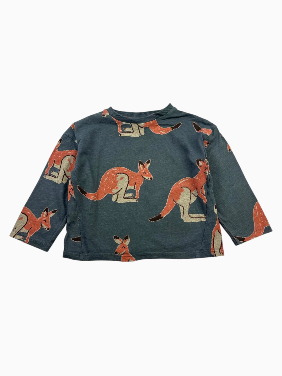 Zara - Longsleeve (maat 98)