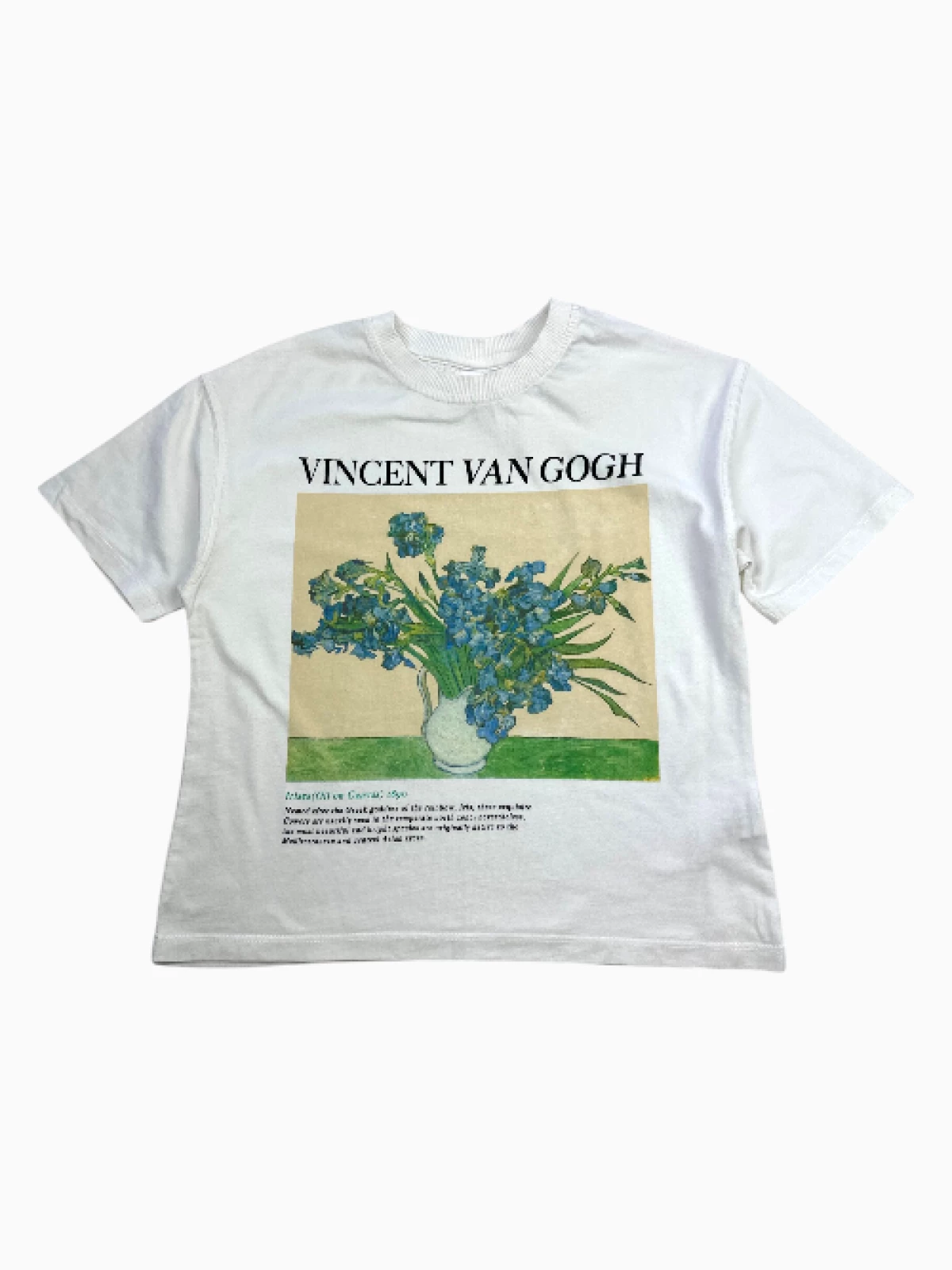 Zara - T-Shirt (maat 116 / 122)