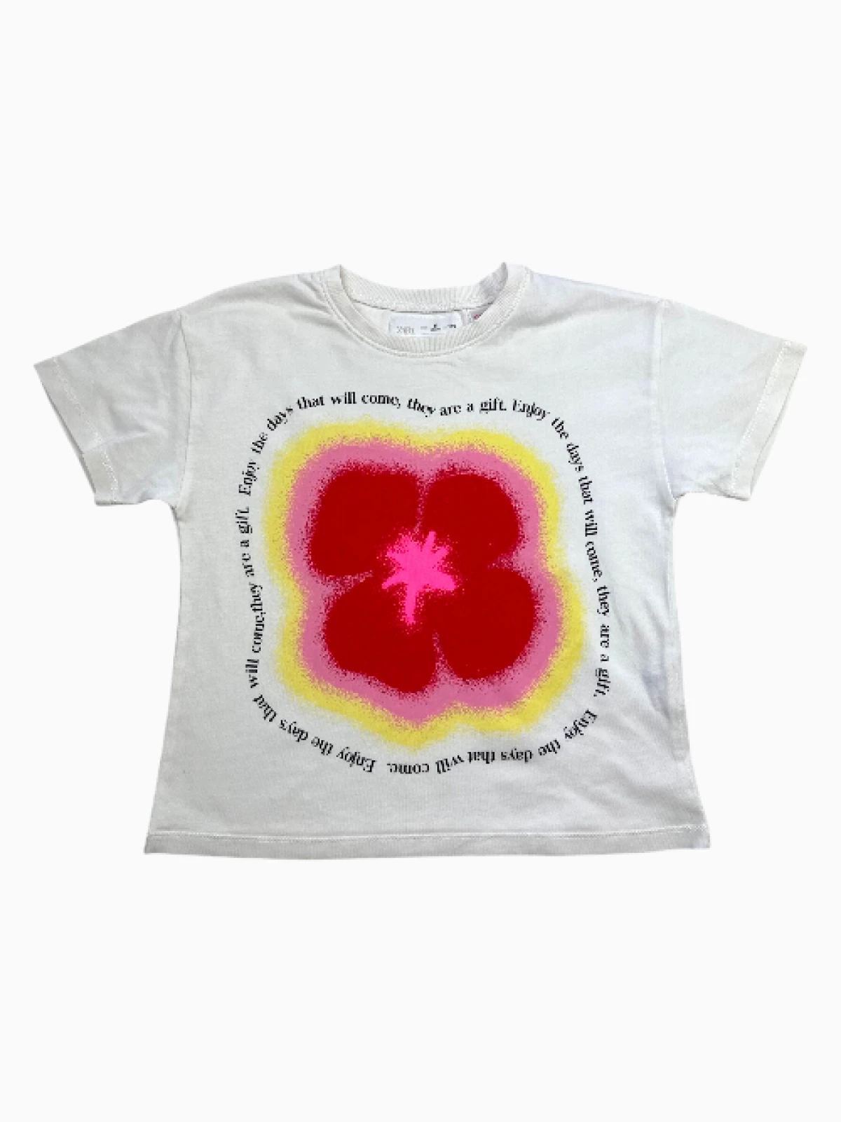 Zara - T-Shirt (maat 110)