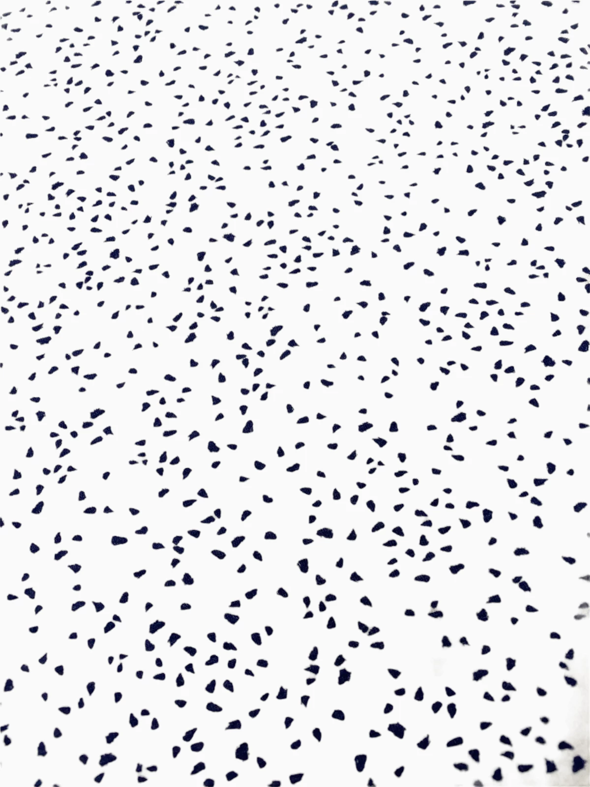 Phil & Phae - T-Shirt (maat 116)