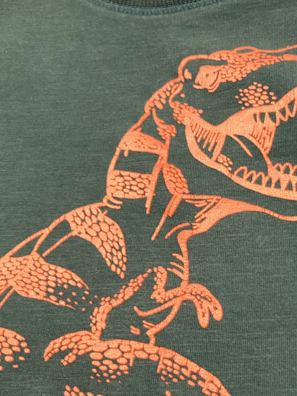 Name it - Longsleeve (maat 80)