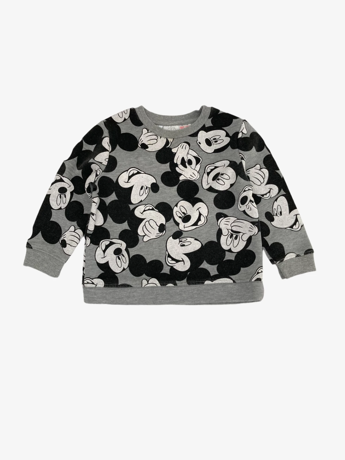 Zara - Trui (maat 92)