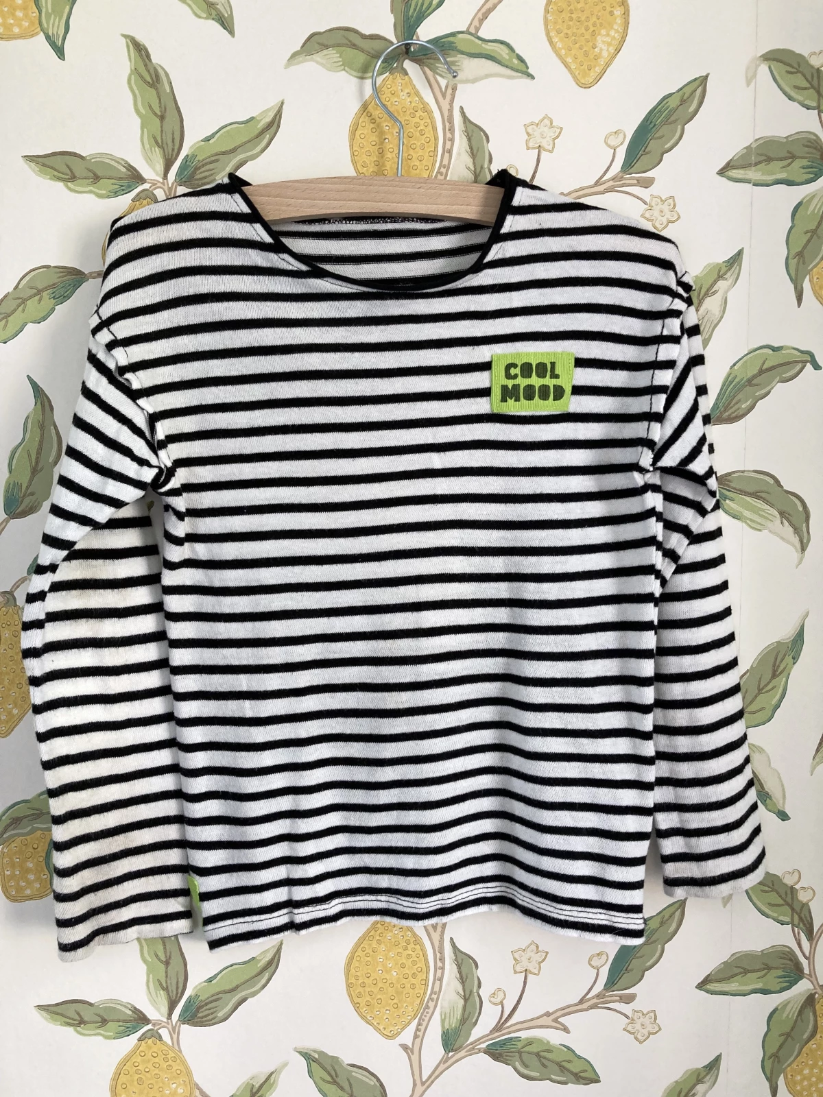 Zara - Longsleeve (maat 116)