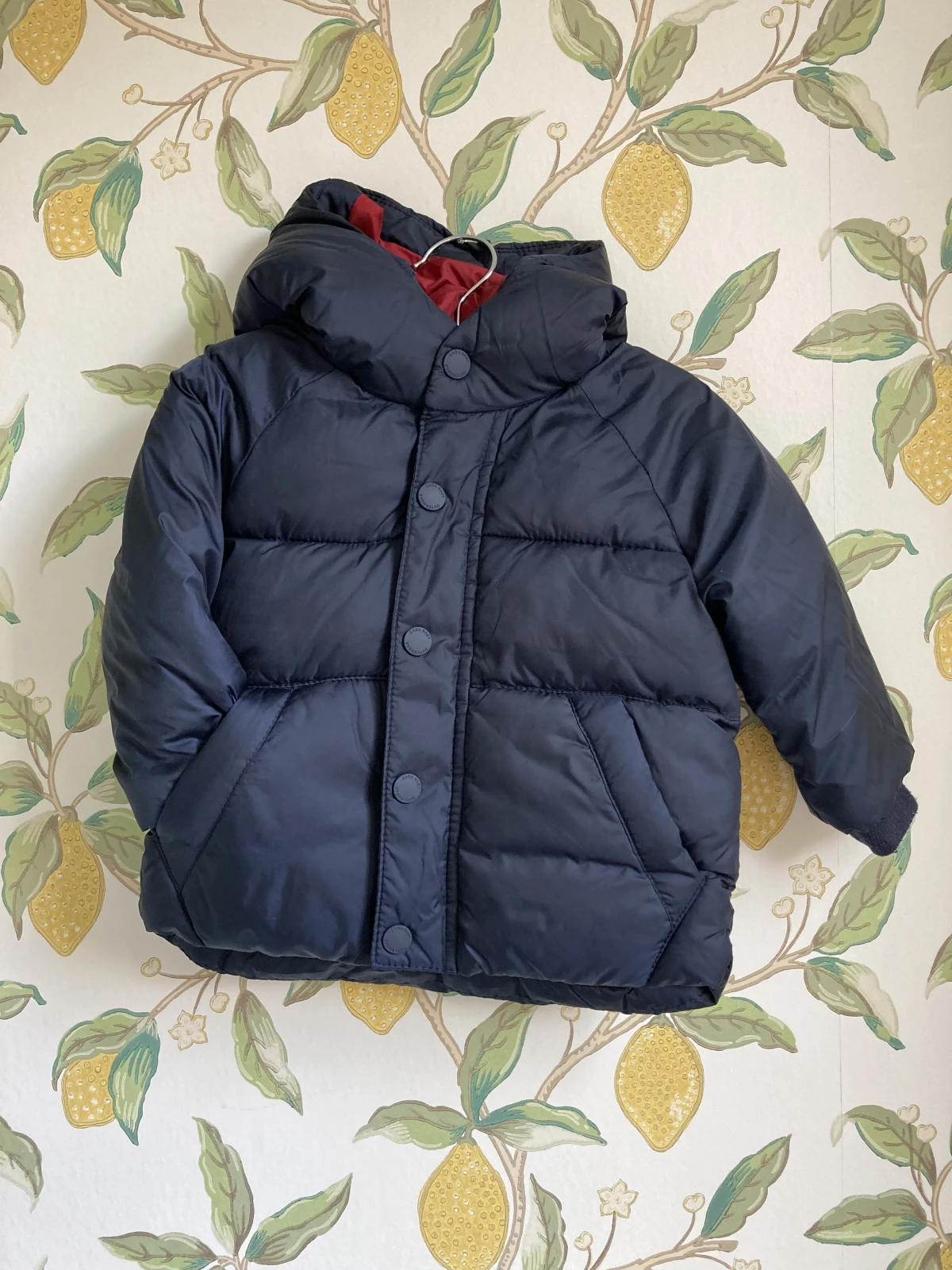 Zara - Jas (maat 74)