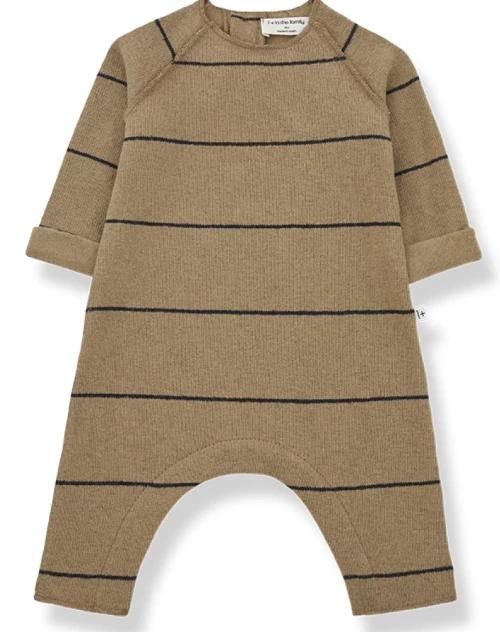 1+ in the family - Playsuit (maat 74)